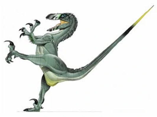 Deinonychus, Wiki