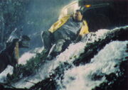 JurassicPark07.jpg