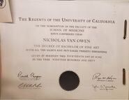 Nicholas van owen diploma-300x232