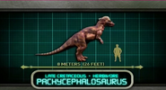 Pachycephalosaurus in Jurassic Park: Explorer