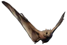 Джехолоптер 2