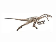 Jurassic Park: Institute