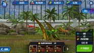 Level 30