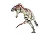 Nanotyrannus