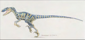 Raptormark1.png
