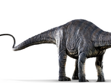 Apatosaurus