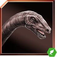 Diplodocus Icon