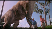 Edges jurassic 3.jpg