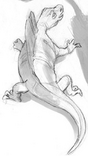 Possedapho.png