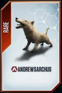 Andrewsarchus card.jpg (19 KB)