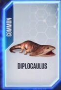 Diplocaulus