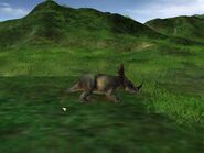 JPOG styracosaurus