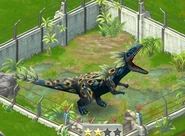 Level 25-30