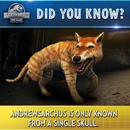 Andrewsarchus Trivia.png (319 KB)