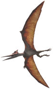 Pteranodon vector