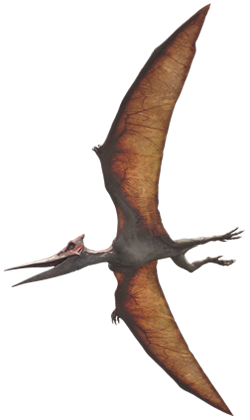 Pterodactyl: A Ameaça Jurássica, Wiki SBTpedia