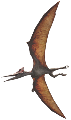 Pteranodonte e pterodáctilo são só nomes diferentes para o mesmo