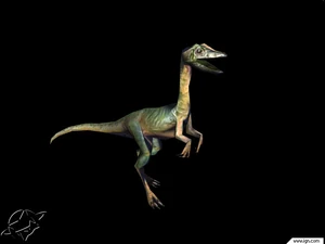 Compsognathus