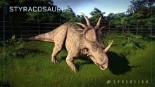 スティラコ DLC