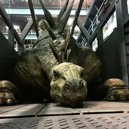 A02f2ade162cfe46fc4dec45ddc37c1a.webp (60 kio)