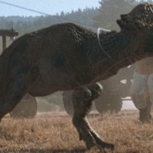 Pachycephalosaurus Jurassic Park Wiki Fandom Pachycephalosaurus Jurassic Park Wiki Fandom