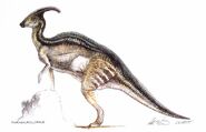 Parasaurolophusjpconceptart