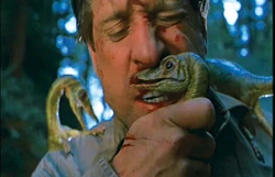 Compsognathus Jurassic Park Wiki Fandom