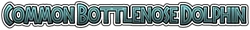 Bottlenosedolphinname