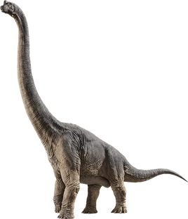 2022/2018