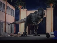 Rexy turning around after she picked up Darius and Sammy's scents