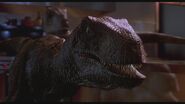 SB-Velociraptor-R jpg 630x1200 upscale q85