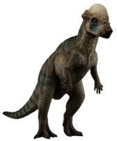 パキケファロサウルス | ジュラシック・パーク Wiki | Fandom