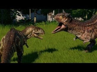 Carnotaurus vs Majungasaurus.jpg