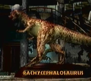 F0794307-EB13-463F-8DCB-1A0584A2F29D.jpeg (476 KB) Alternative Skin that looks similar to the JW Website one