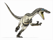 Velociraptor