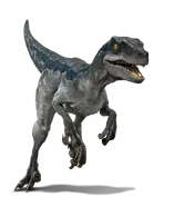 Rendu de la Colo du Crétacé