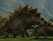 Stegosaurus