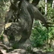 Angry stego.webp (10 kio)