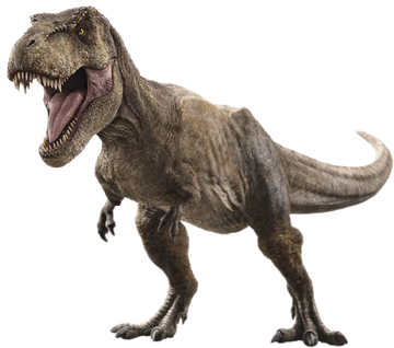 VR 360 Dinosaur Jurassic T-REX Chase ( 360 Dinosaur Park )