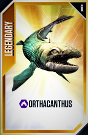 Orthacanthus Card