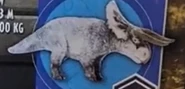 Nasutoceratops