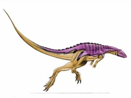 JPI Scutellosaurus