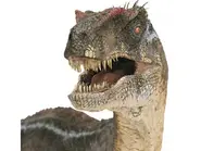 Velociraptor-head.webp (19 kio)