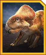 JWA Protoceratops.png (94キロバイト) カードの絵柄
