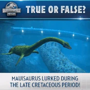 Mauisaurus (16).gif (9.79 MB)