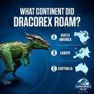 Dracorex Continent Quiz