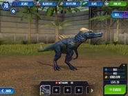 13508836 543642965839362 9154542724878191605 n.jpg (96 KB) Level 20