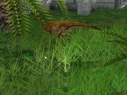 Gallimimus5