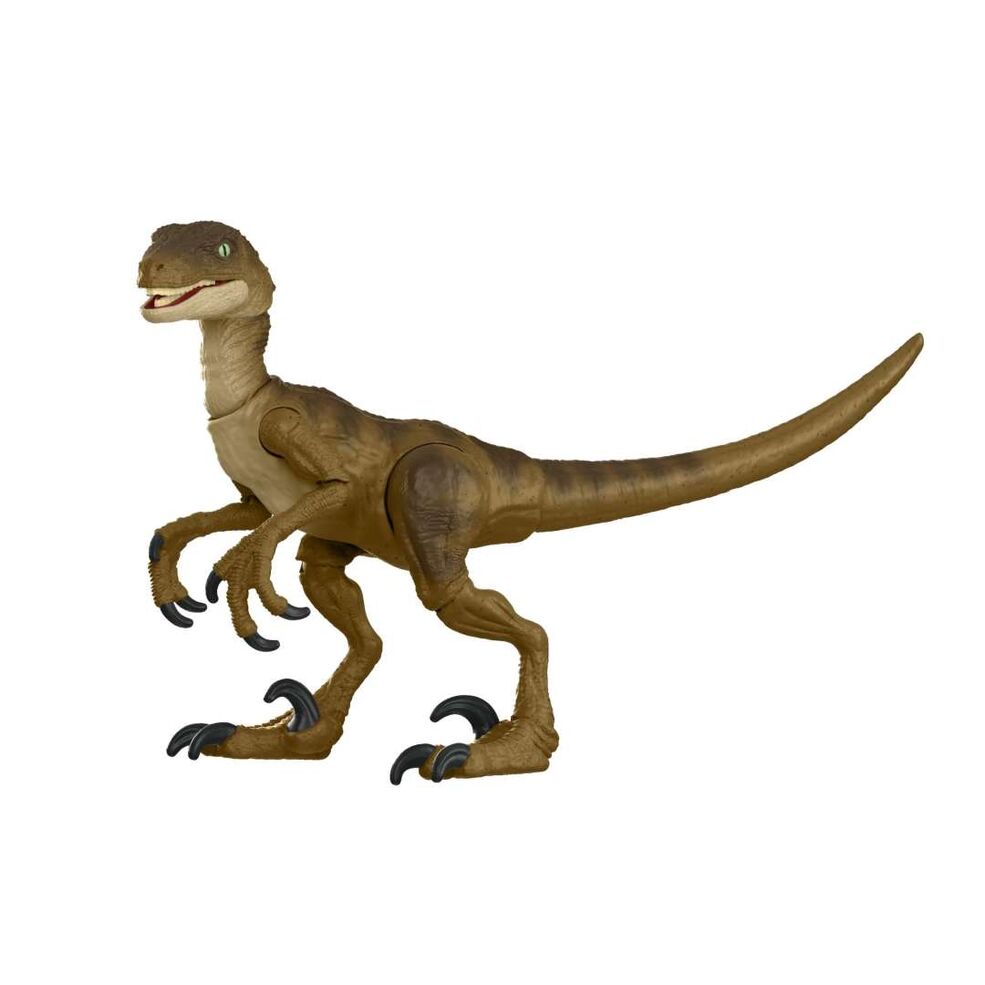 Velociraptor/HC | Jurassic Park Wiki | Fandom