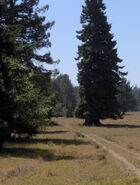 Private ranch in Fieldbrook, California